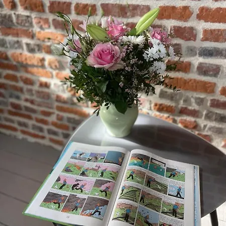 Capucine 3* Онфлёр