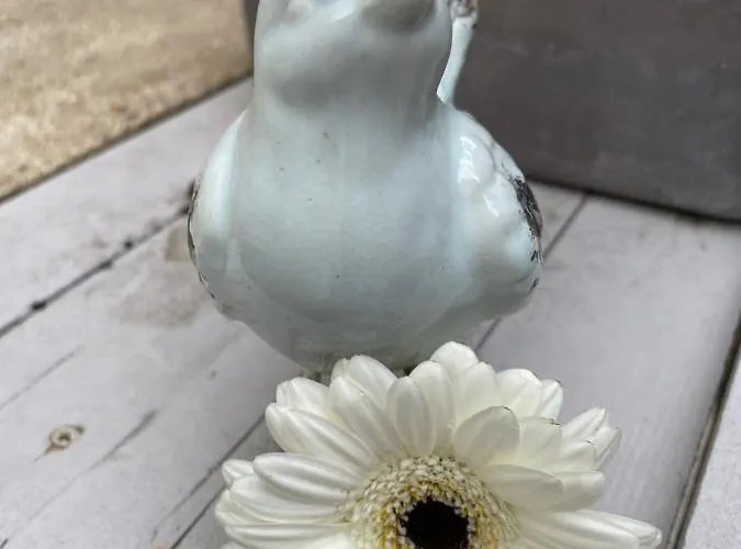 Capucine Nocleg ze śniadaniem Honfleur