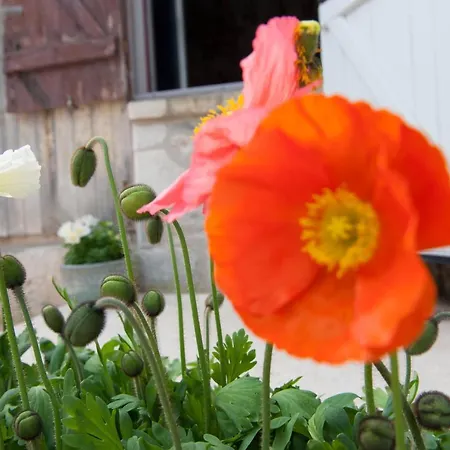 Bed and breakfast Capucine Honfleur