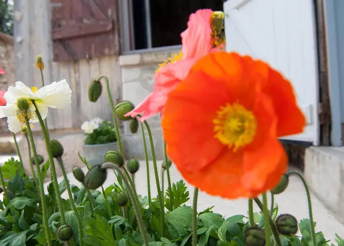 Bed and breakfast Capucine Honfleur