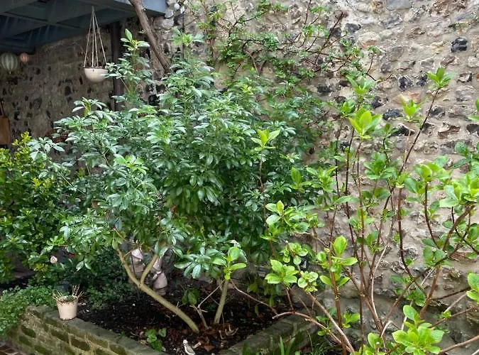 Bed and breakfast Capucine Honfleur